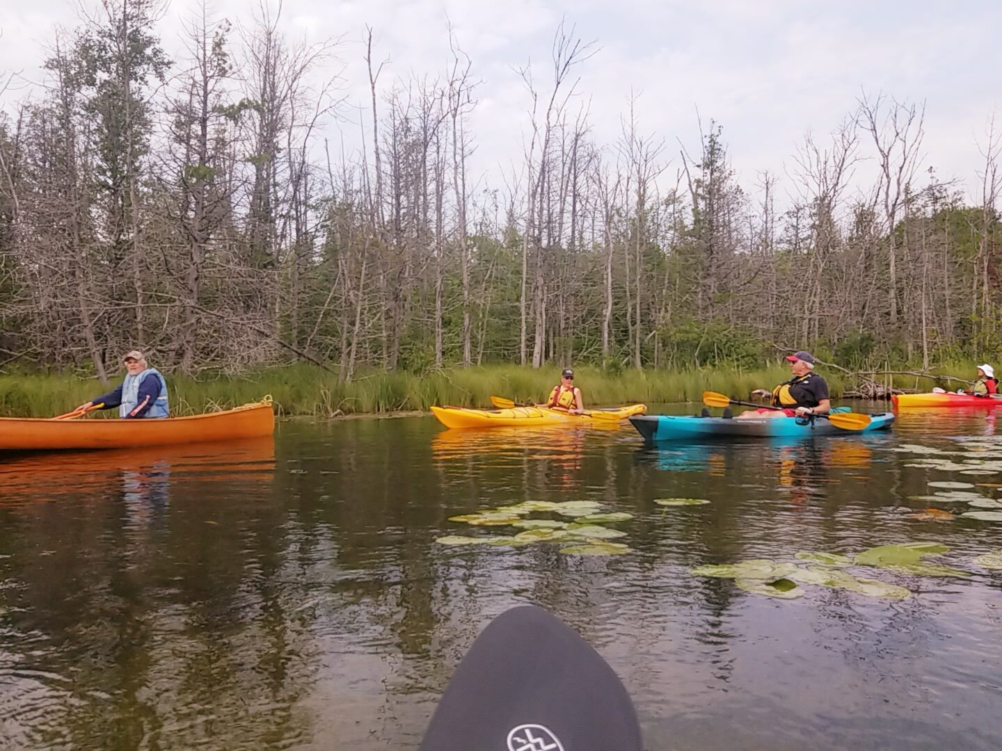 St. Clair Lake-Six Mile Lake Natural Area Community Paddle - Paddle